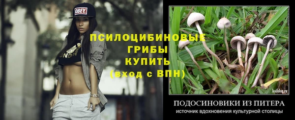 кристаллы Белокуриха