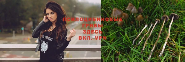 альфа пвп Беломорск